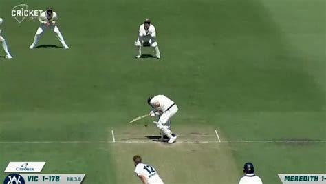 mini cricket helmet|Australia's Will Pucovski set to retire from cricket after .